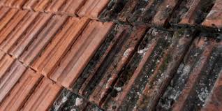 terracotta restoration